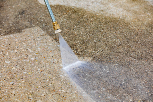 Animal Enclosure Cleaning in North Tonawanda, NY